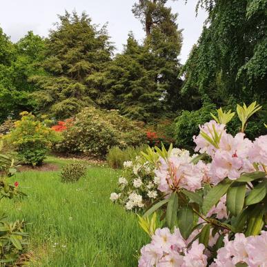 The rhododendron park