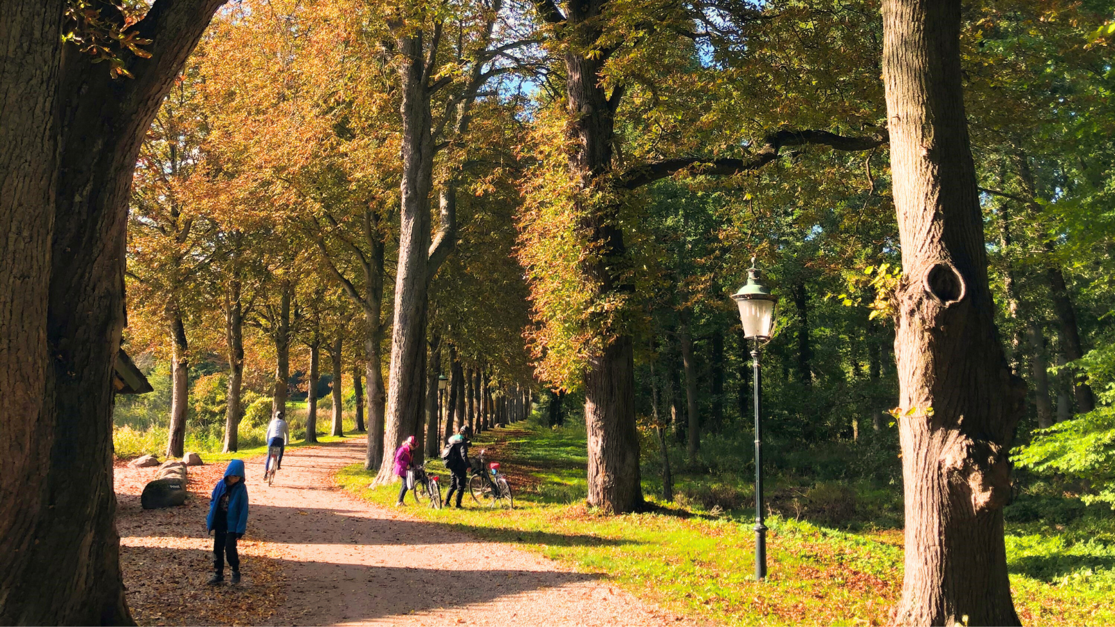 Efterår i Køge