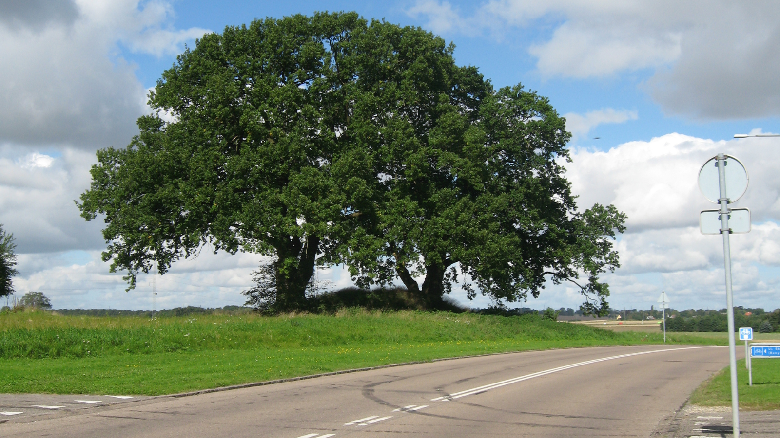 Gravhøj