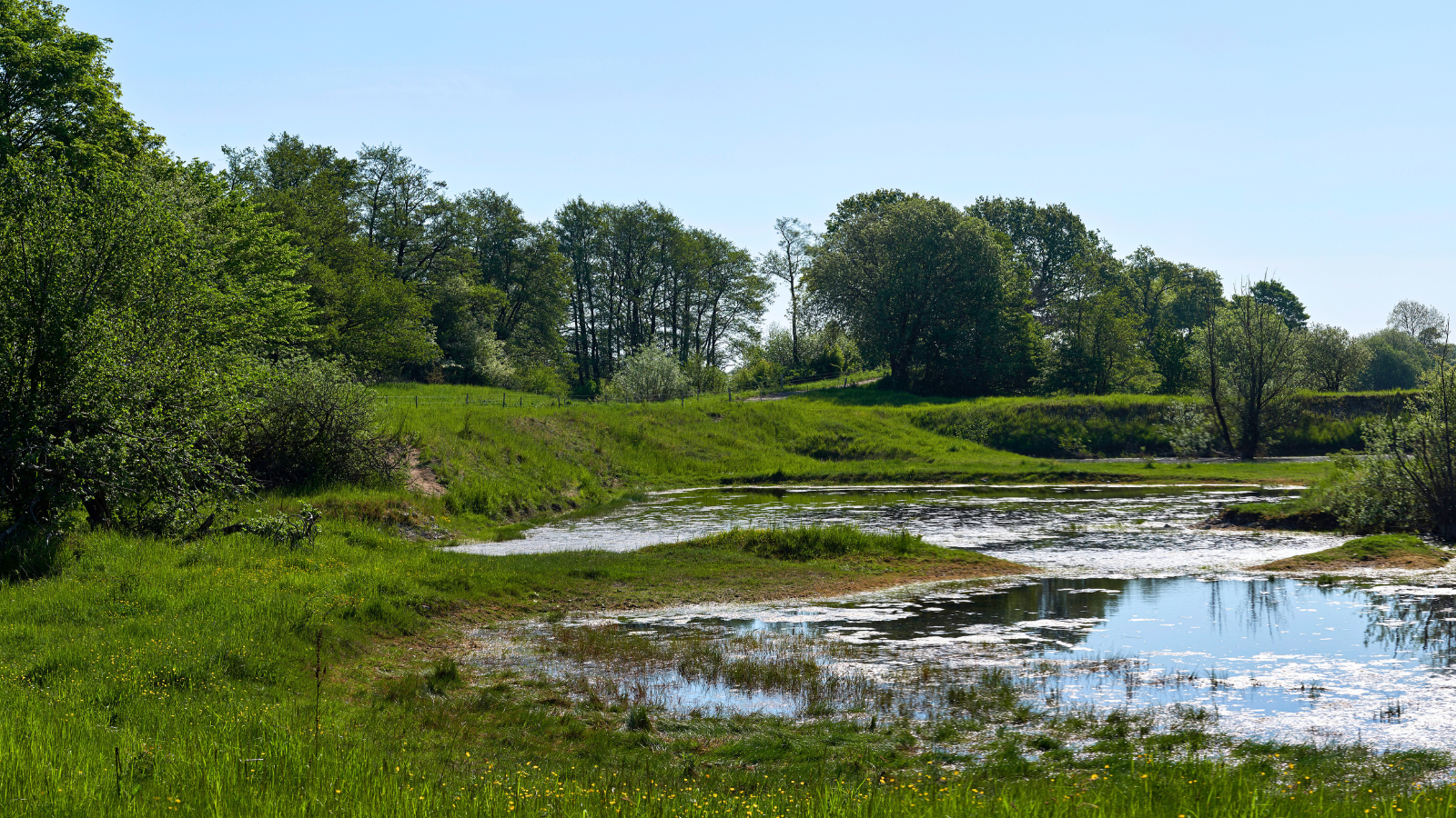 The scenery around Køge | Køge has beautiful nature with good hiking ...