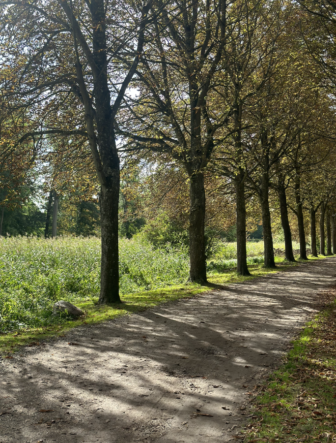 Køge Åsvandring