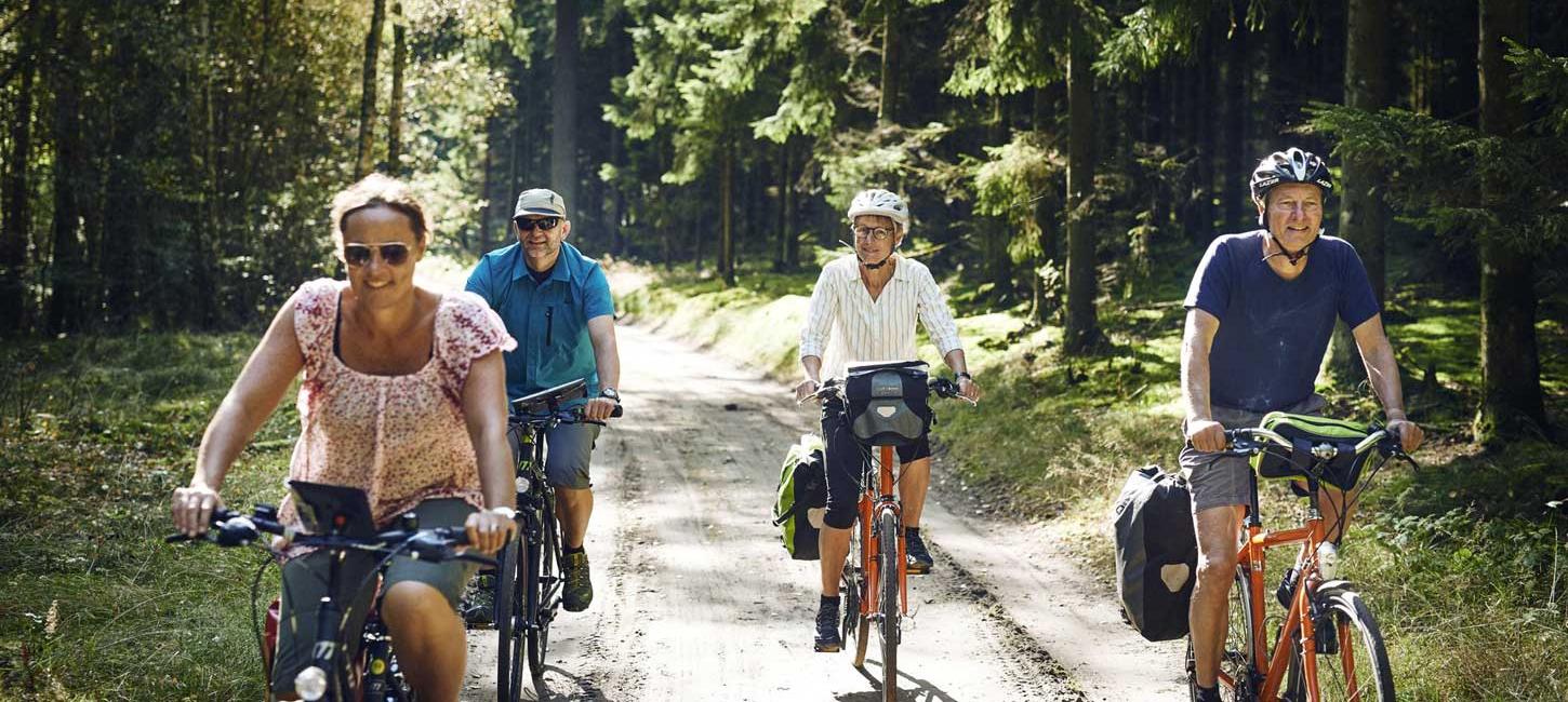 Cykelferie i Køge