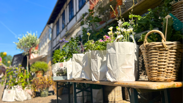 Binderiet Vestergade