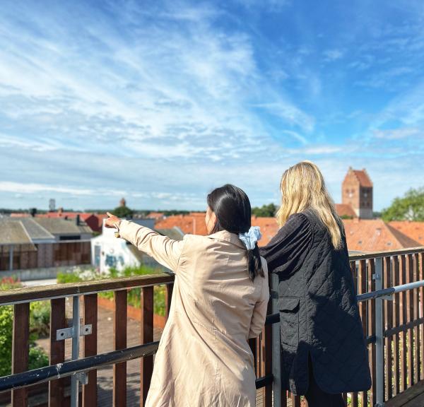 Taghaven på P-huset