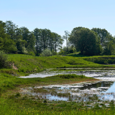 Sti - Køge Å-Regnemarks Bakke