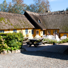 Malerklemmen i solskin