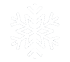 vinter ikon
